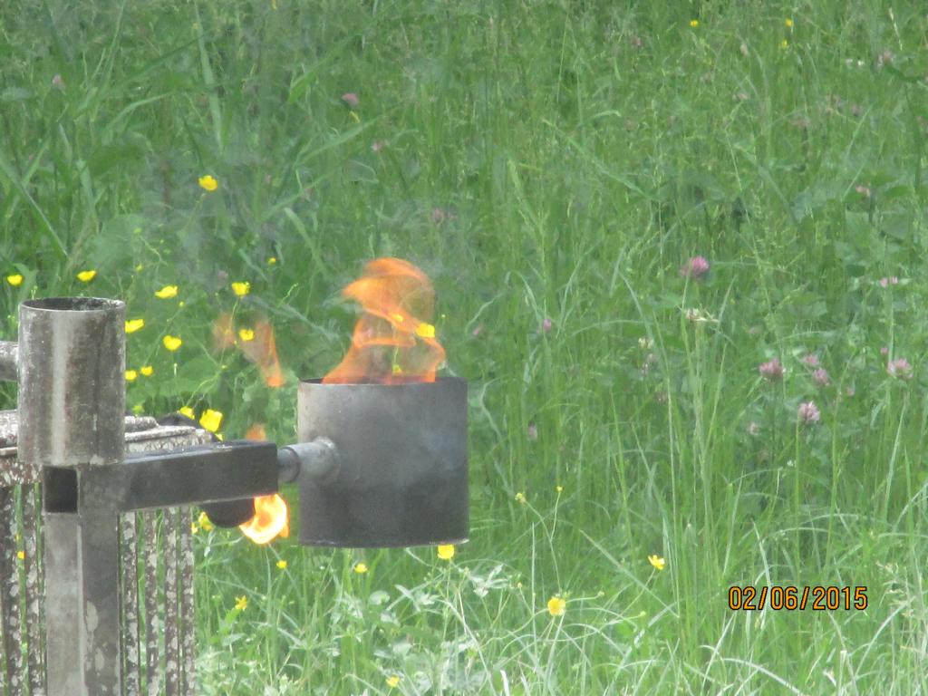 In einem Metallbehälter brennt ein Feuer; im Hintergrund sind grünes Gras und Wildblumen zu sehen.