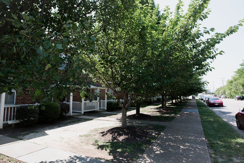 photo gallery - external photo of building