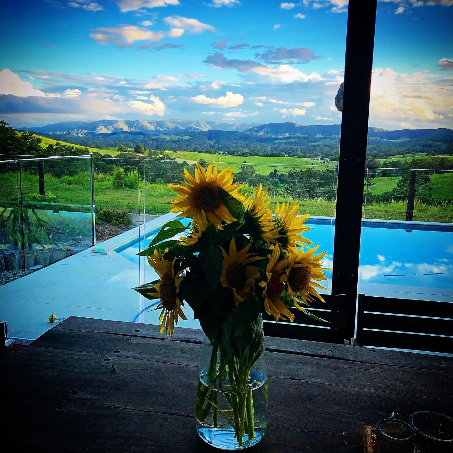 Sunflowers in vase on a table overlooking a pool and green valley with mountains, under a cloudy blue sky. — HinterCoast Pools In Curra, QLD