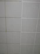 White tiled wall, close-up, grid pattern, with visible grout lines.