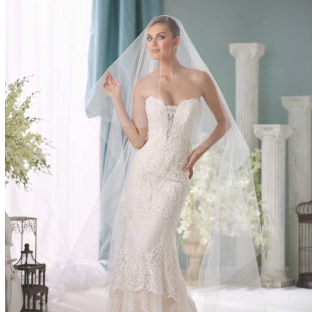 A woman in a wedding dress and veil is standing in front of a window