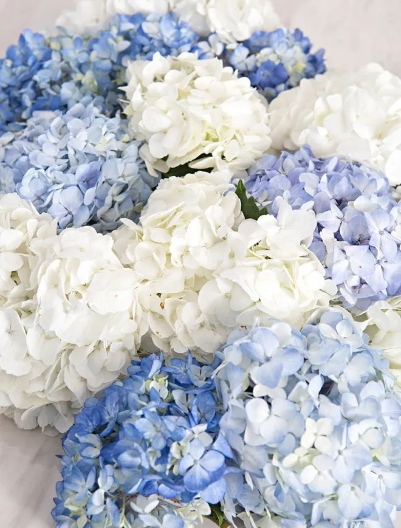 A bunch of blue and white flowers on a table