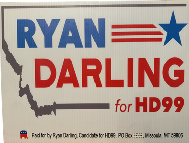 Vote for Ryan Darling HD 99