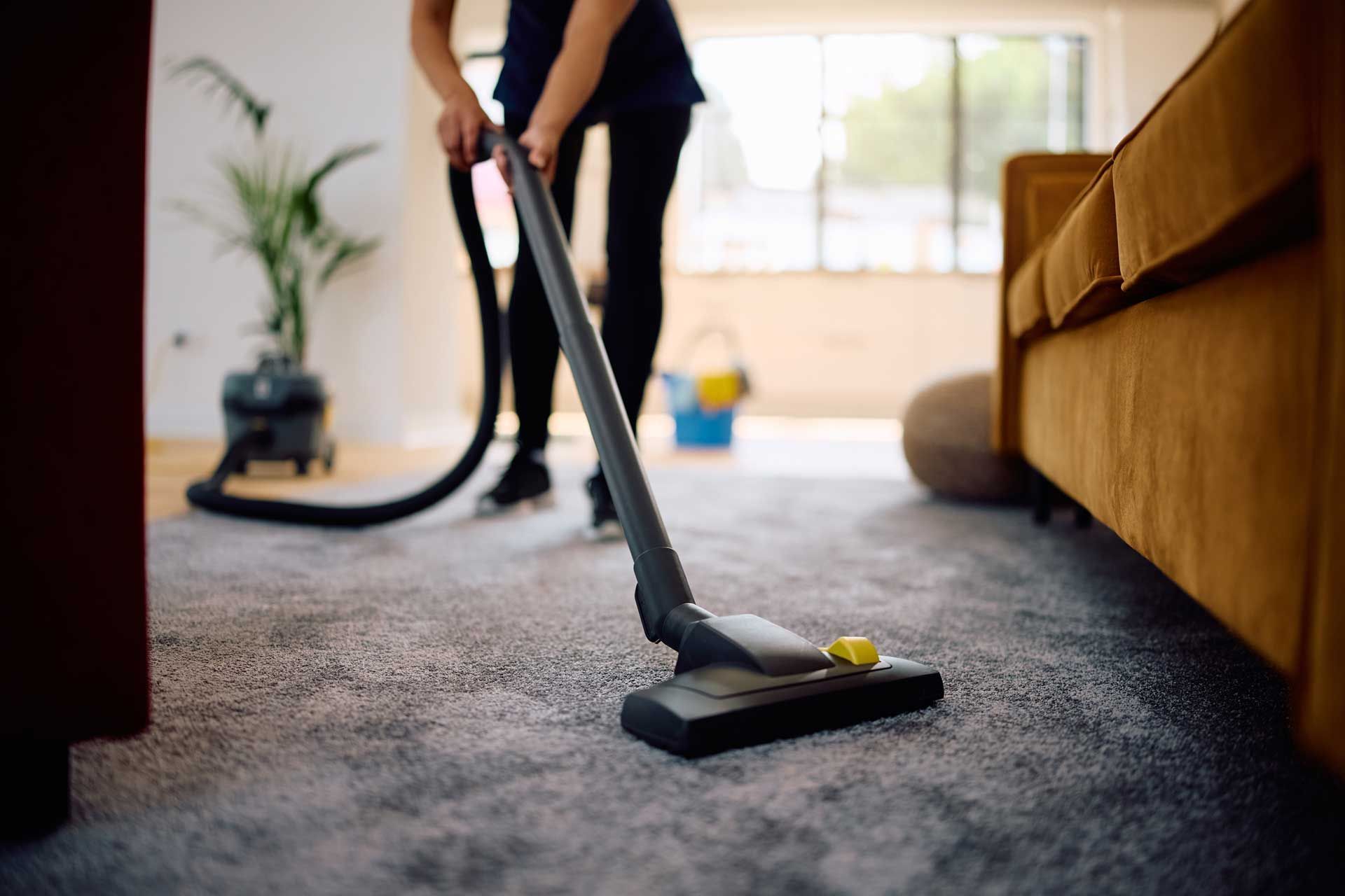 Person vacuuming a carpet in a living room, near a couch and a potted plant.