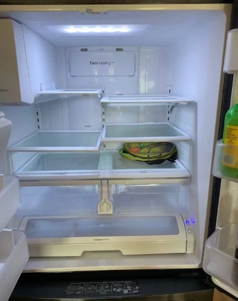 Empty refrigerator interior; a turtle sits on a shelf.
