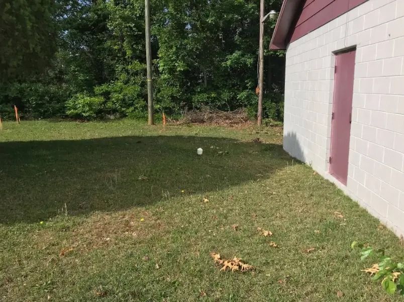 Grassy yard with a white building on the right and trees in the background.