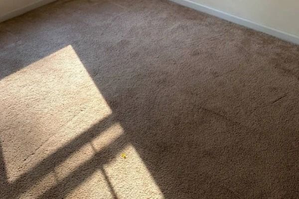 Tan carpeted floor with window shadow across it.
