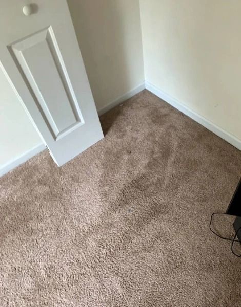 Tan carpet in a corner of a room, a white door against a wall with white trim and beige walls.