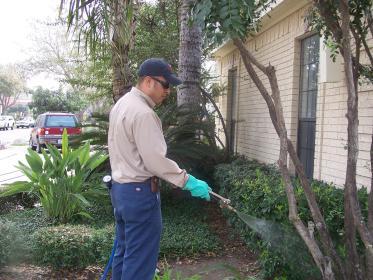 pest control services | Laredo, TX