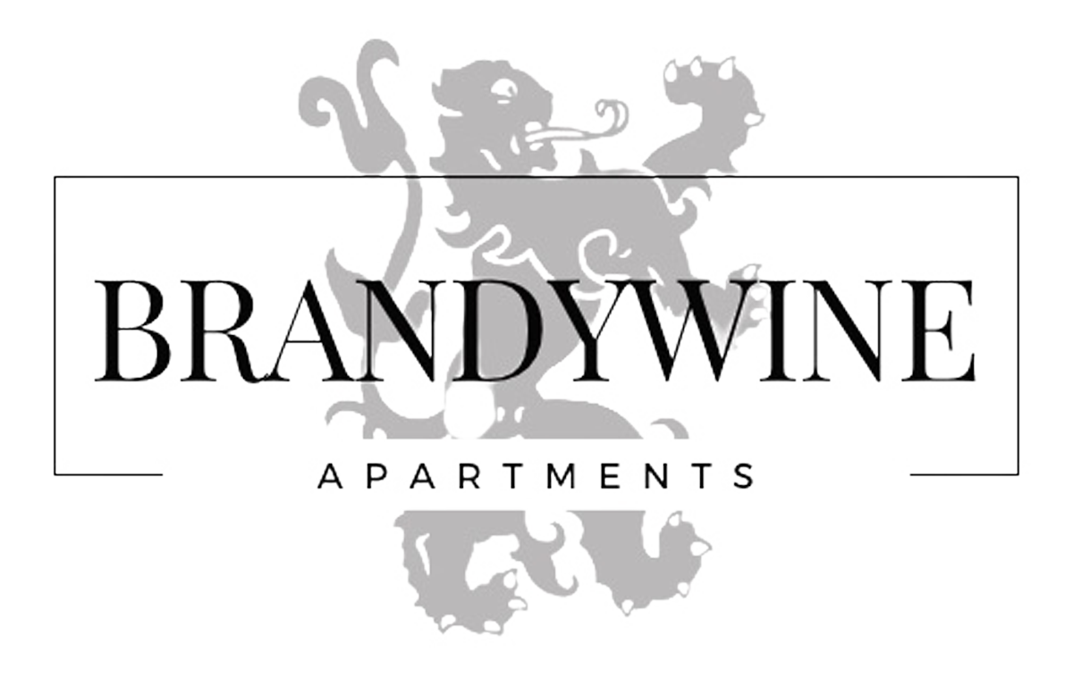 Brandywine Apartments logo with "BRANDYWINE" in a dark font over "APARTMENTS" in a light blue font.