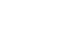 Blank white background.