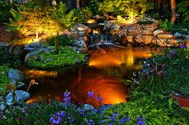 Pond lighting: Home and Garden Electrics