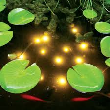 Submerged lighting: Home and Garden Electrics