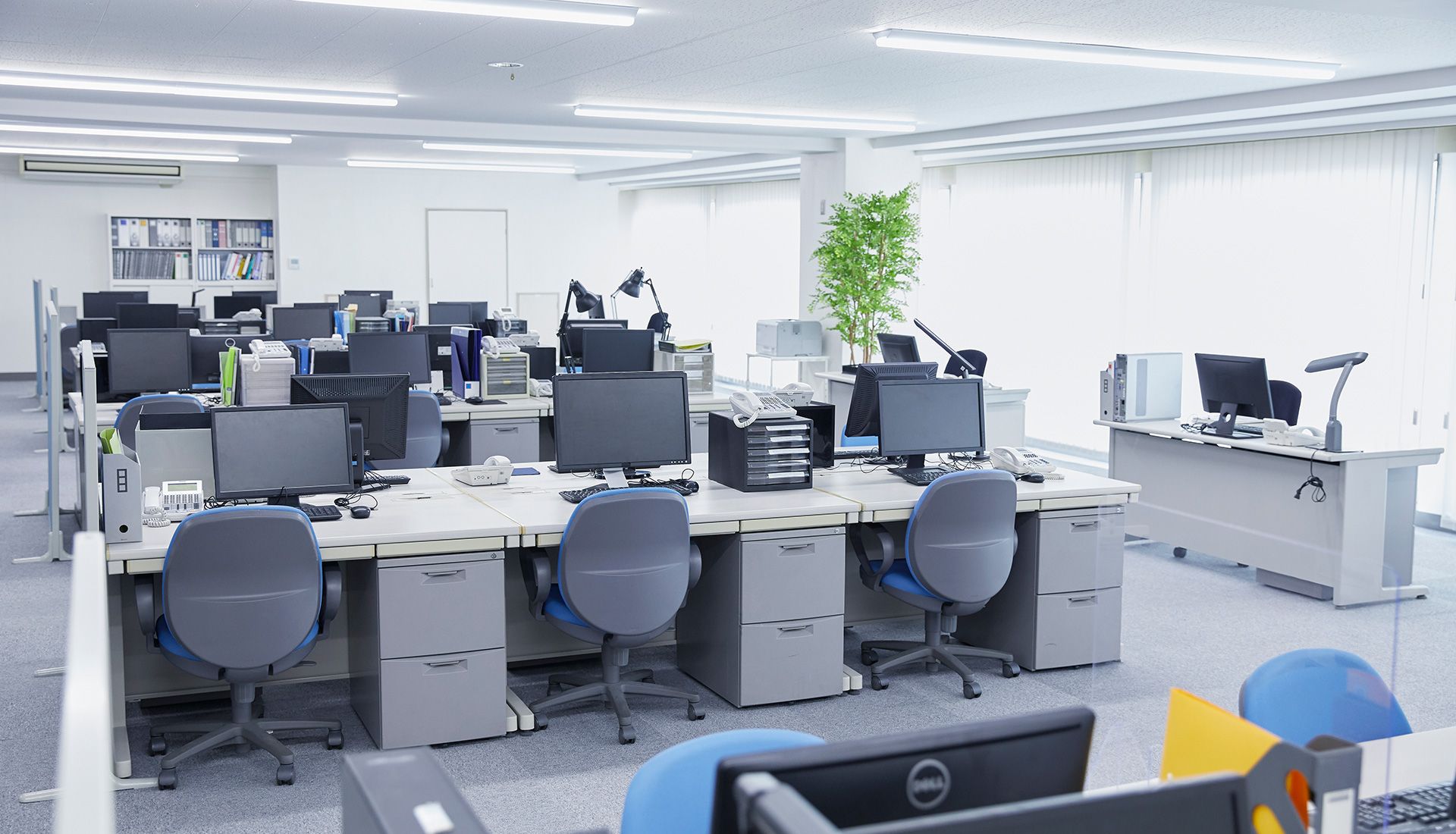 Bright, empty office cubicles with computers, chairs, and a small plant.