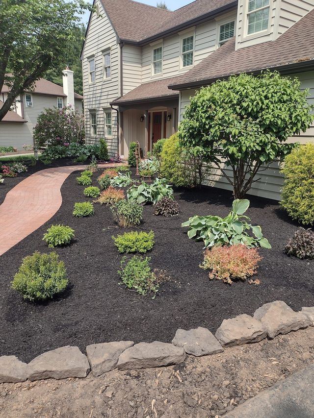 Front yard with newly planted shrubs and dark mulch leading to a house entrance with stone edging