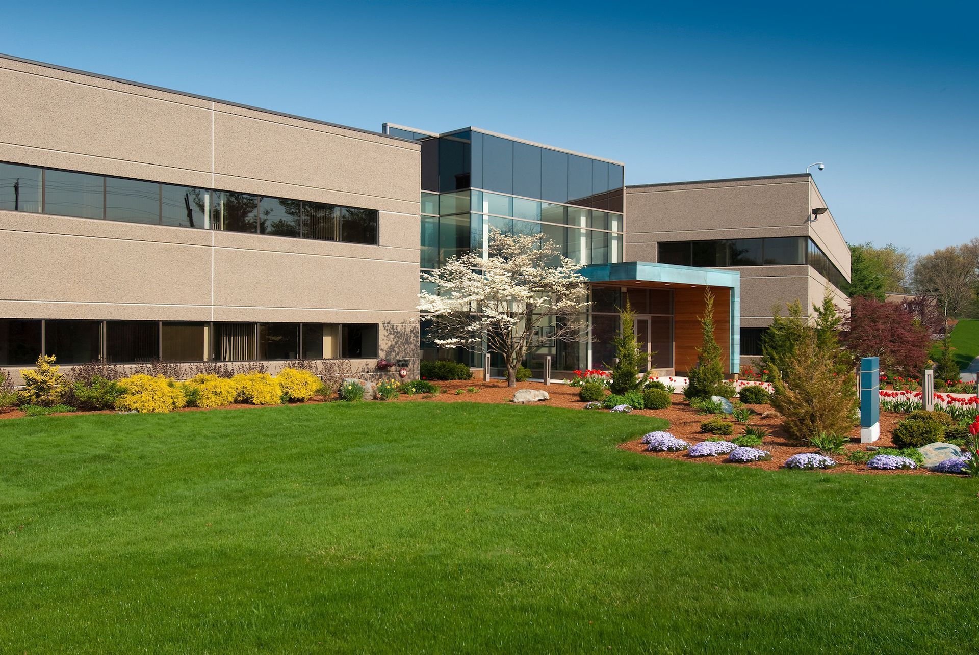 Modern office building with glass entrance, green lawn, and landscaped flower beds