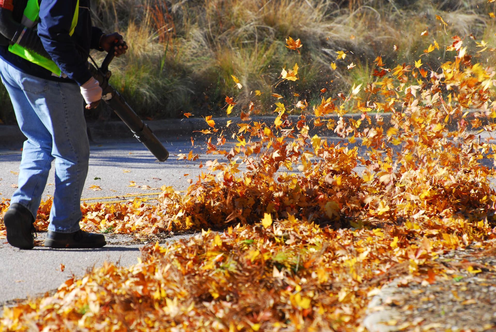 Person using a leaf blower to clear orange autumn leaves from a sidewalk