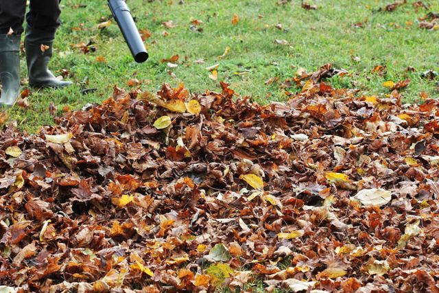 Person using a leaf blower to clear a pile of fallen autumn leaves on grass