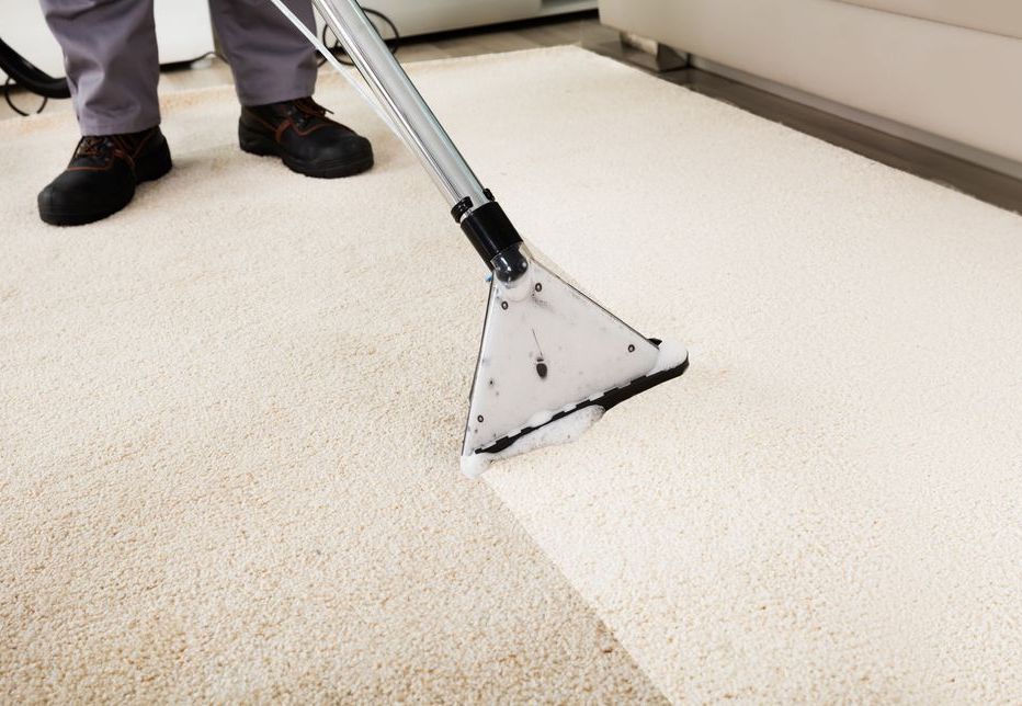 Une personne nettoie un tapis avec un aspirateur.