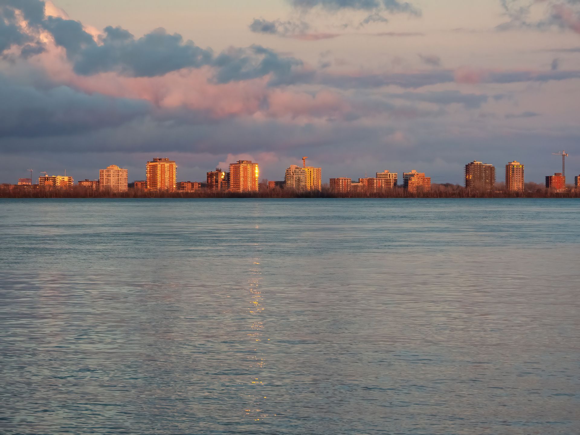 Un horizon urbain est visible au-dessus d'un plan d'eau