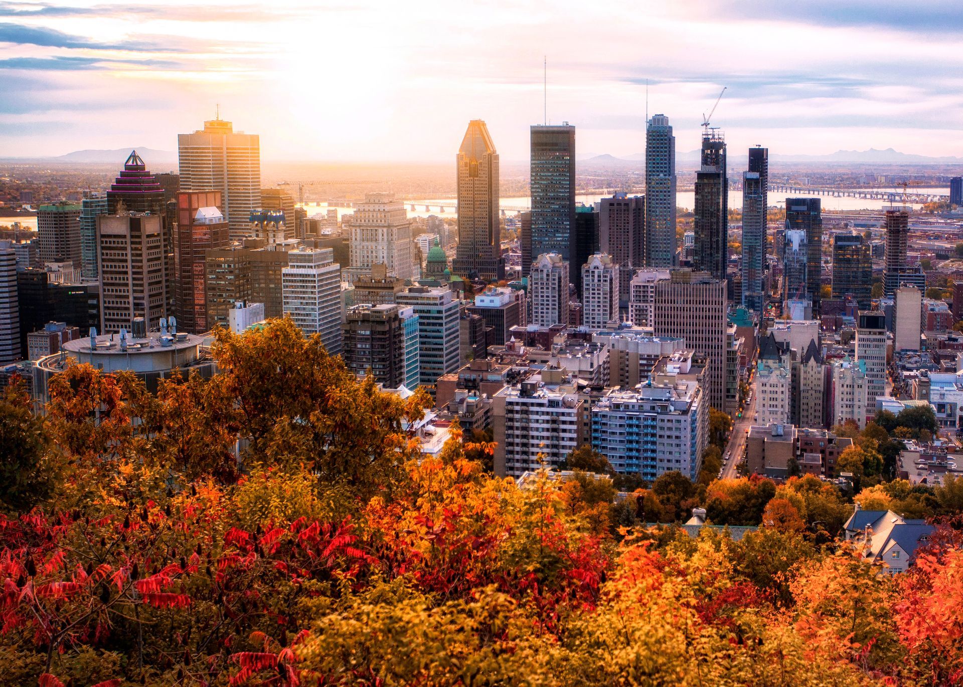 Une vue aérienne d'un horizon de ville avec des arbres au premier plan.