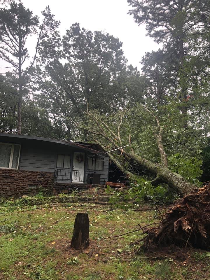 Tree that has fallen on a home