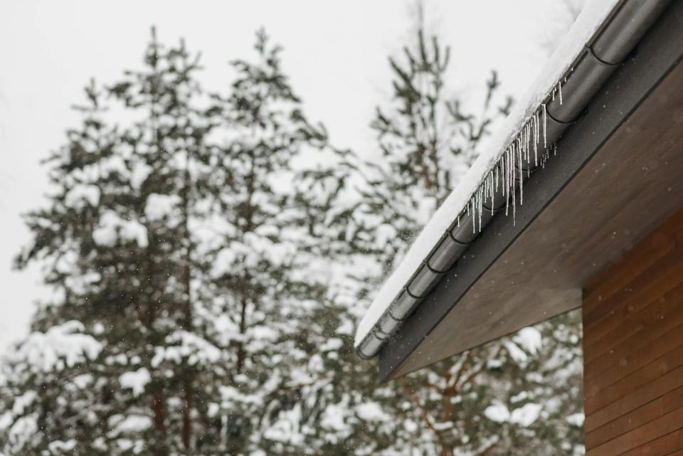 Icicles hang from a roof's edge with a snowy forest background.