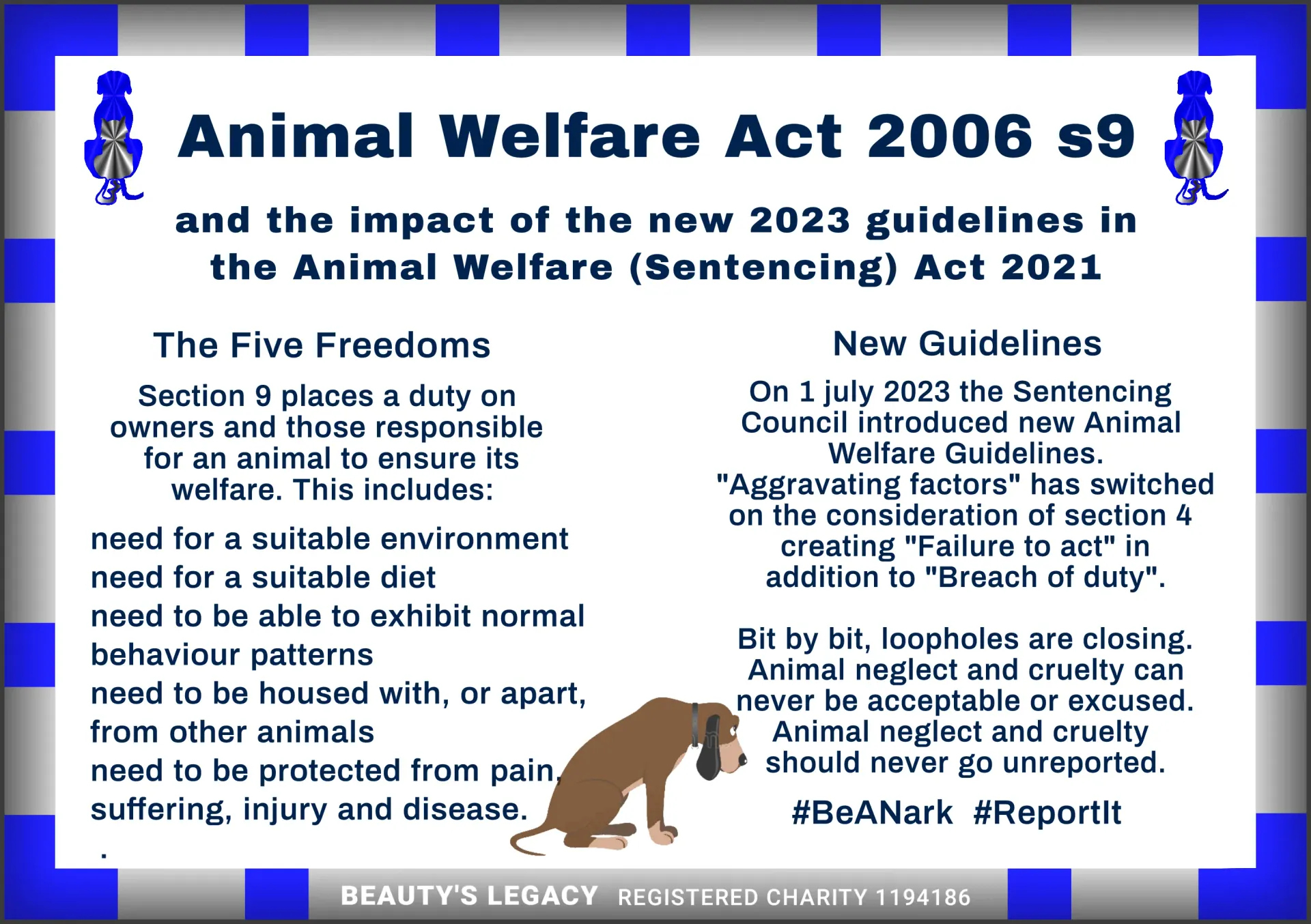 Animal Welfare Act 2006 s9