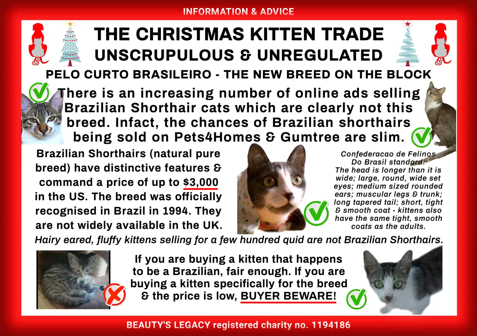 The Christmas kitten trade