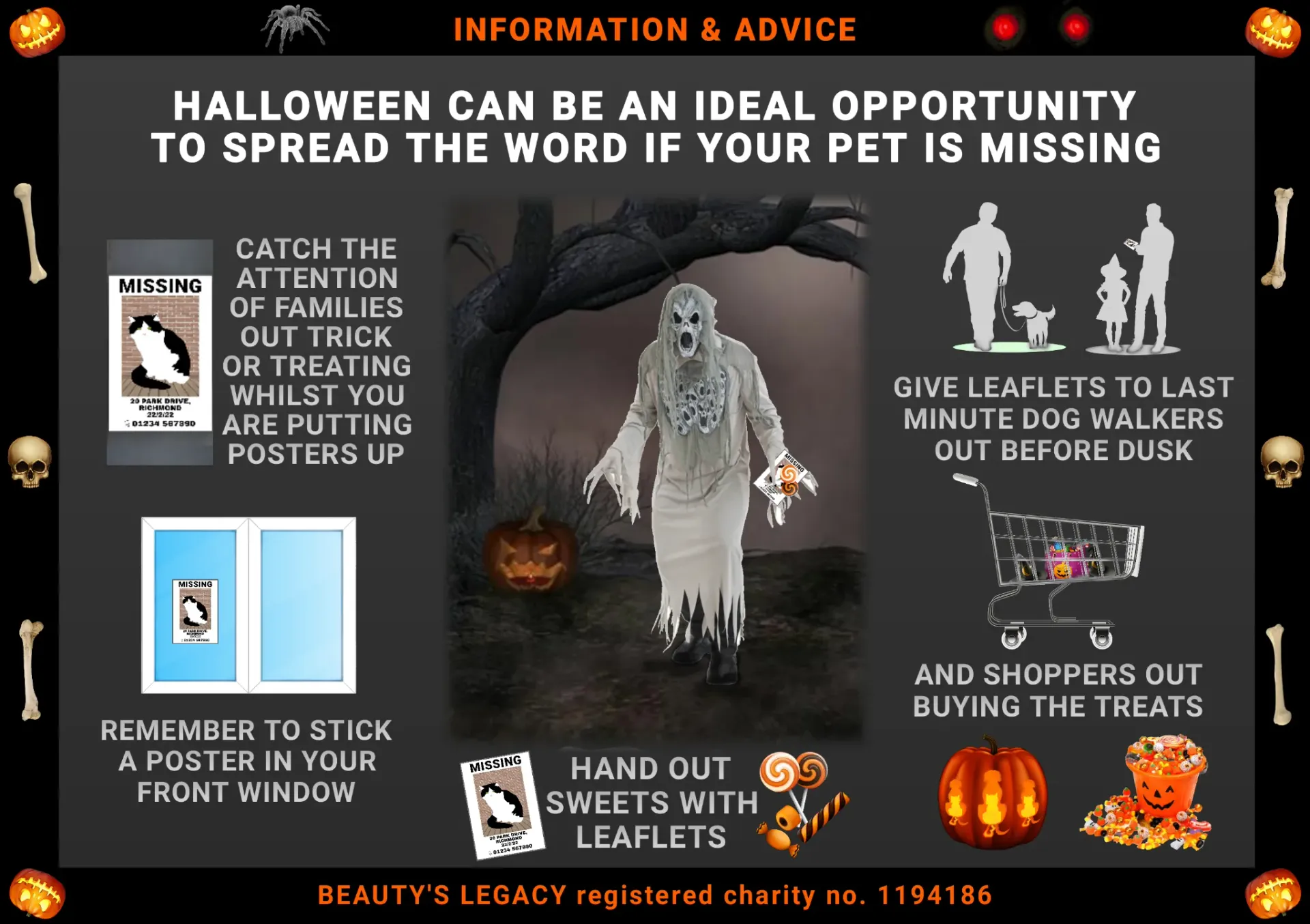 Spread the word about missing pets at Halloween