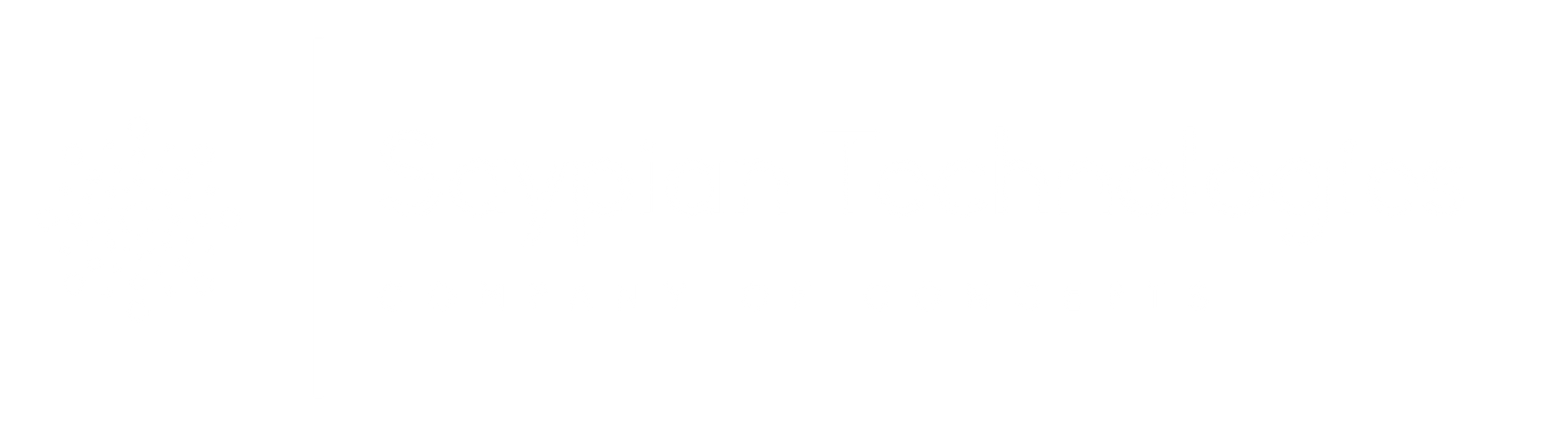 Blank