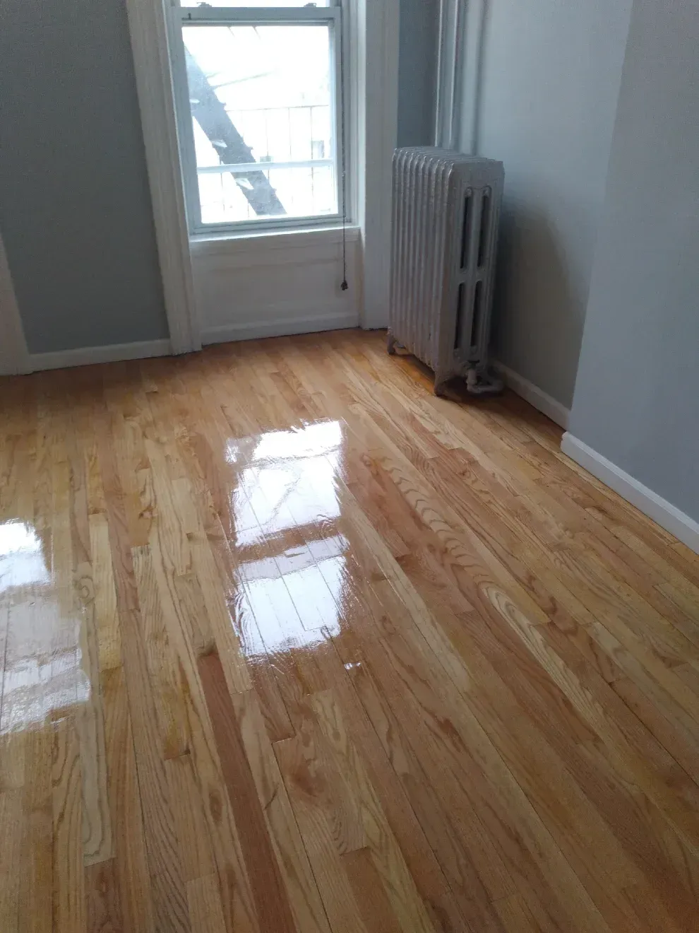 Shiny hardwood floor in a room with a window, radiator, and grey walls.