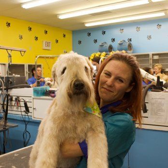A Woman Is Holding A Dog In A Grooming Salon — Richmond, VA — Ridge Dog Shop