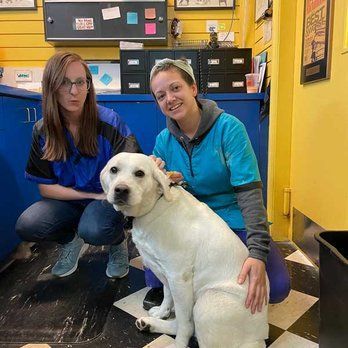 Two Women Are Kneeling Next To A White Dog In A Veterinary Office — Richmond, VA — Ridge Dog