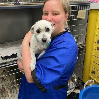 A Woman Is Holding A Small White Dog In Her Arms — Richmond, VA — Ridge Dog Shop