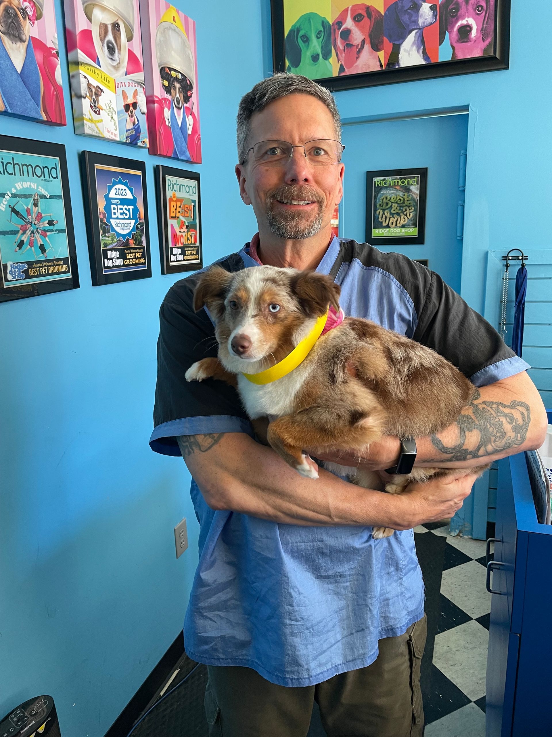 Man holding a brown and white dog; blue room with dog art.