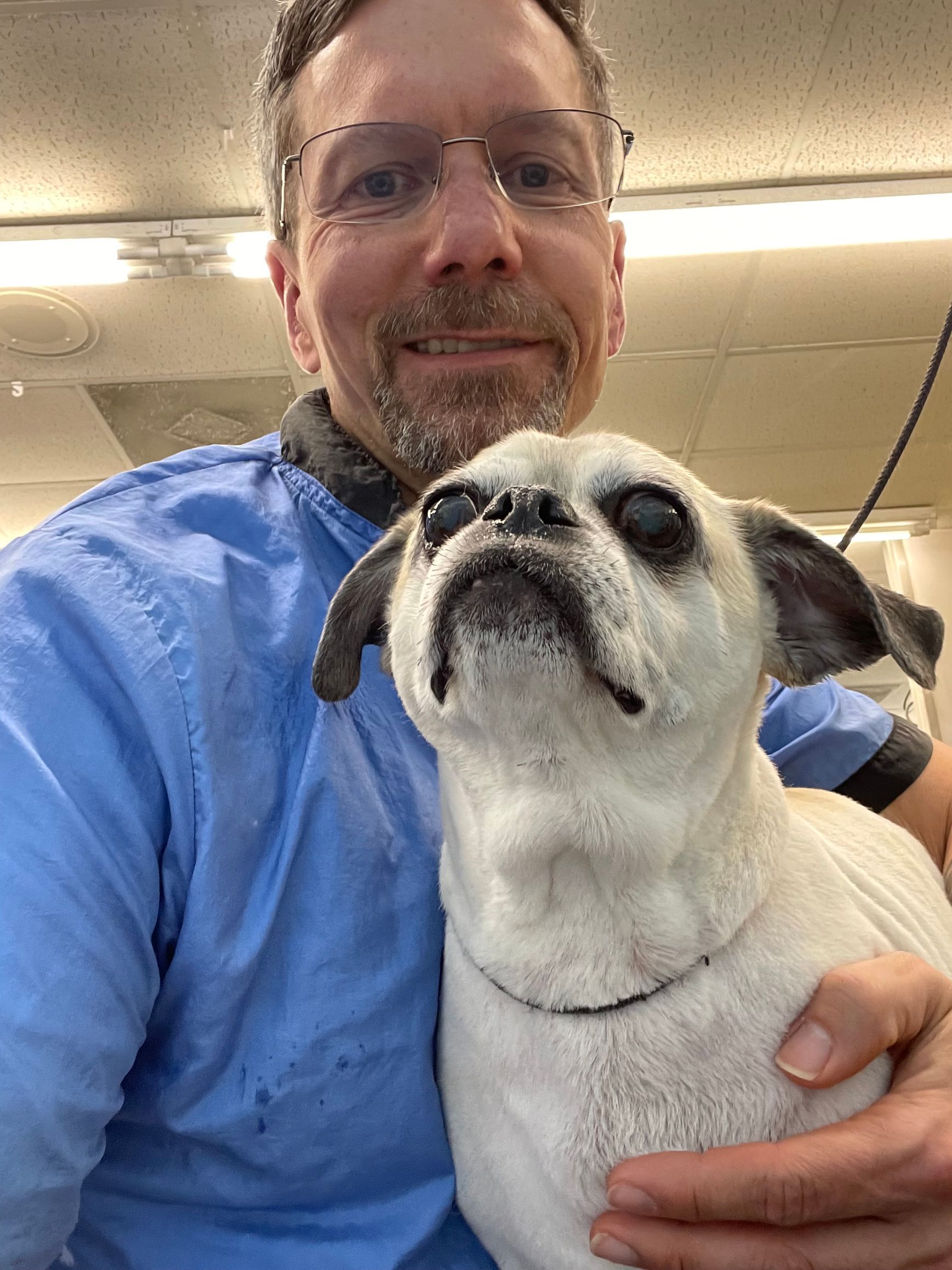 A man is holding a small white dog in his arms.