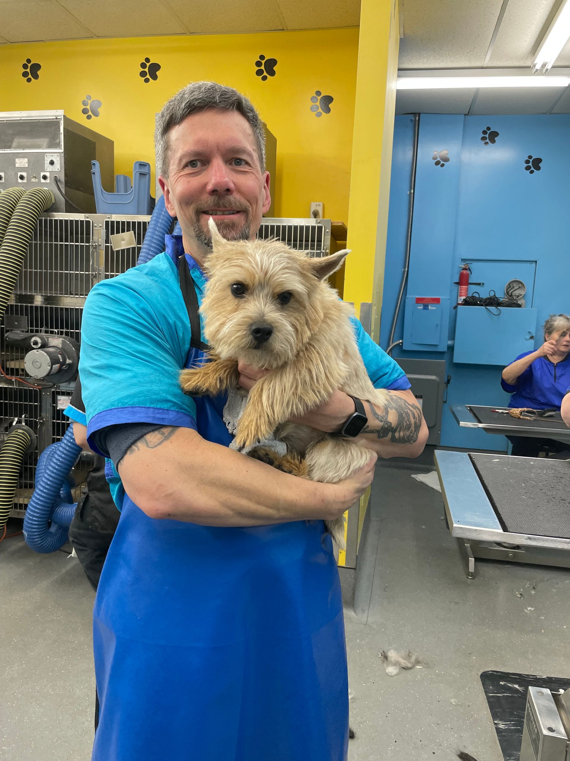 A man in a blue apron is holding a small dog in his arms.