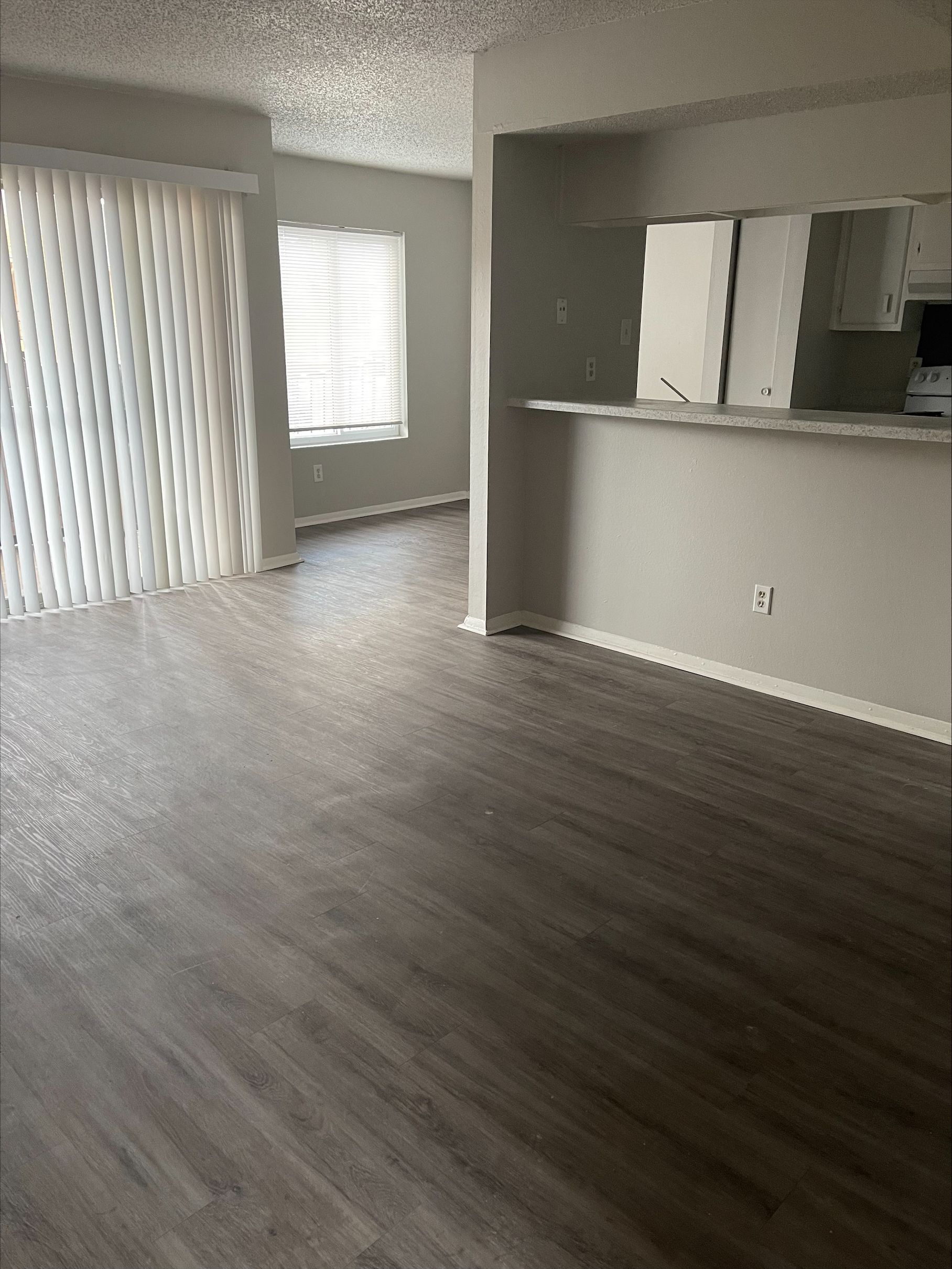 Interior Photo of empty living room