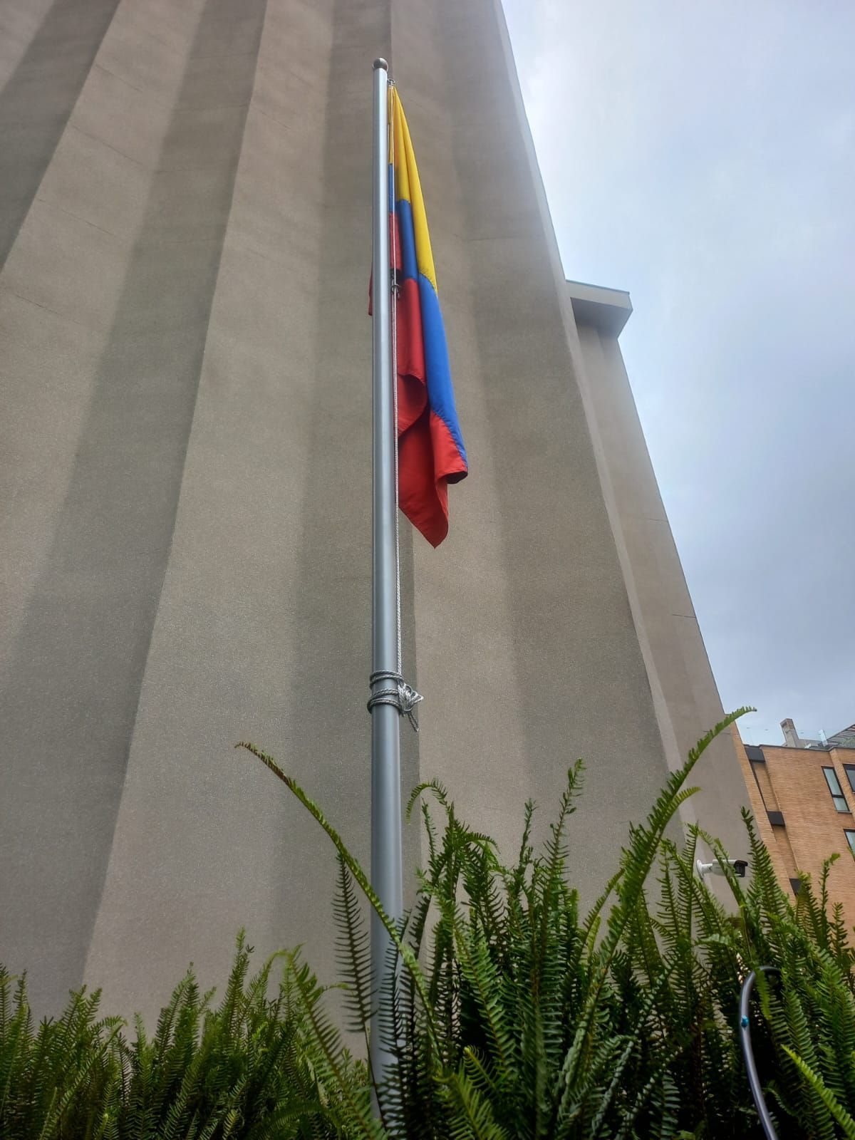 Bandera colombiana en un mástil junto a un edificio alto de color gris, con plantas en primer plano.