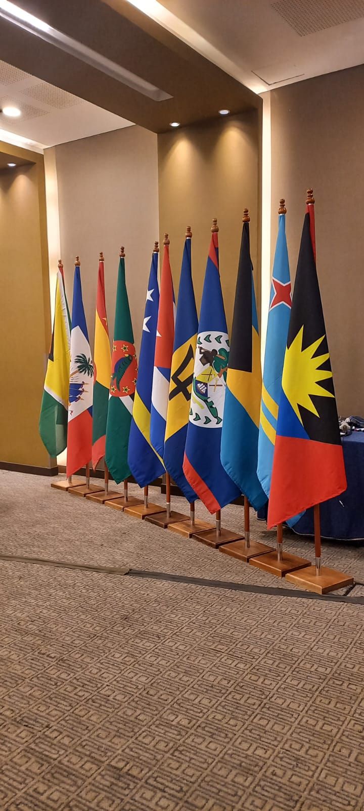 Hilera de coloridas banderas nacionales sobre soportes en un pasillo de conferencias alfombrado.