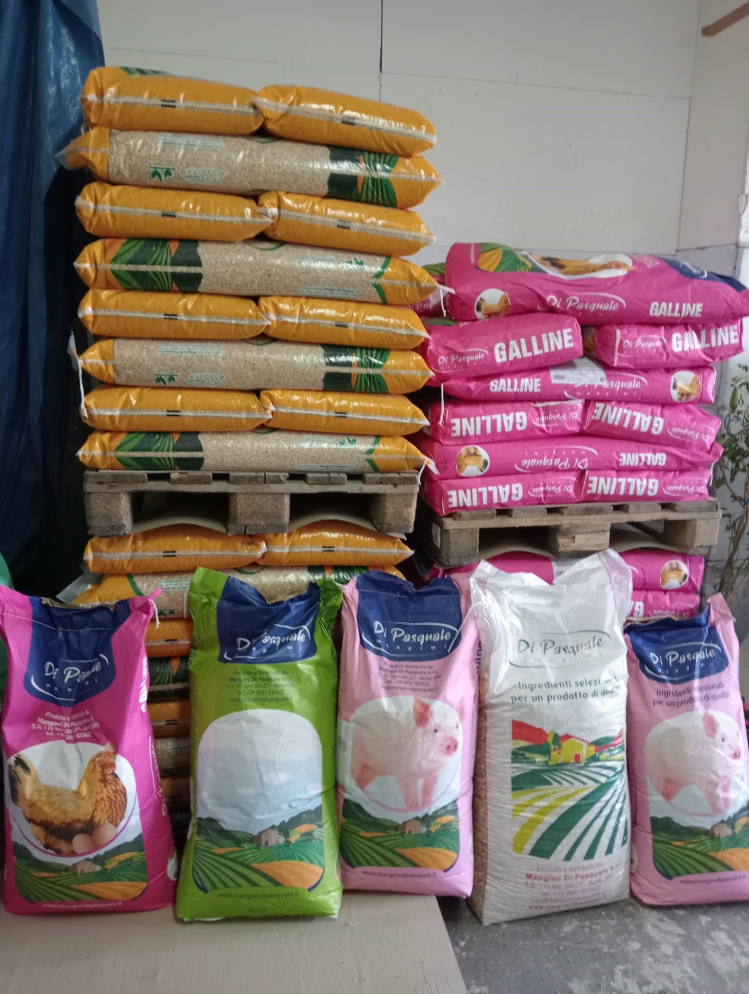 In una stanza un mucchio di sacchi di cibo sono impilati uno sopra l'altro.