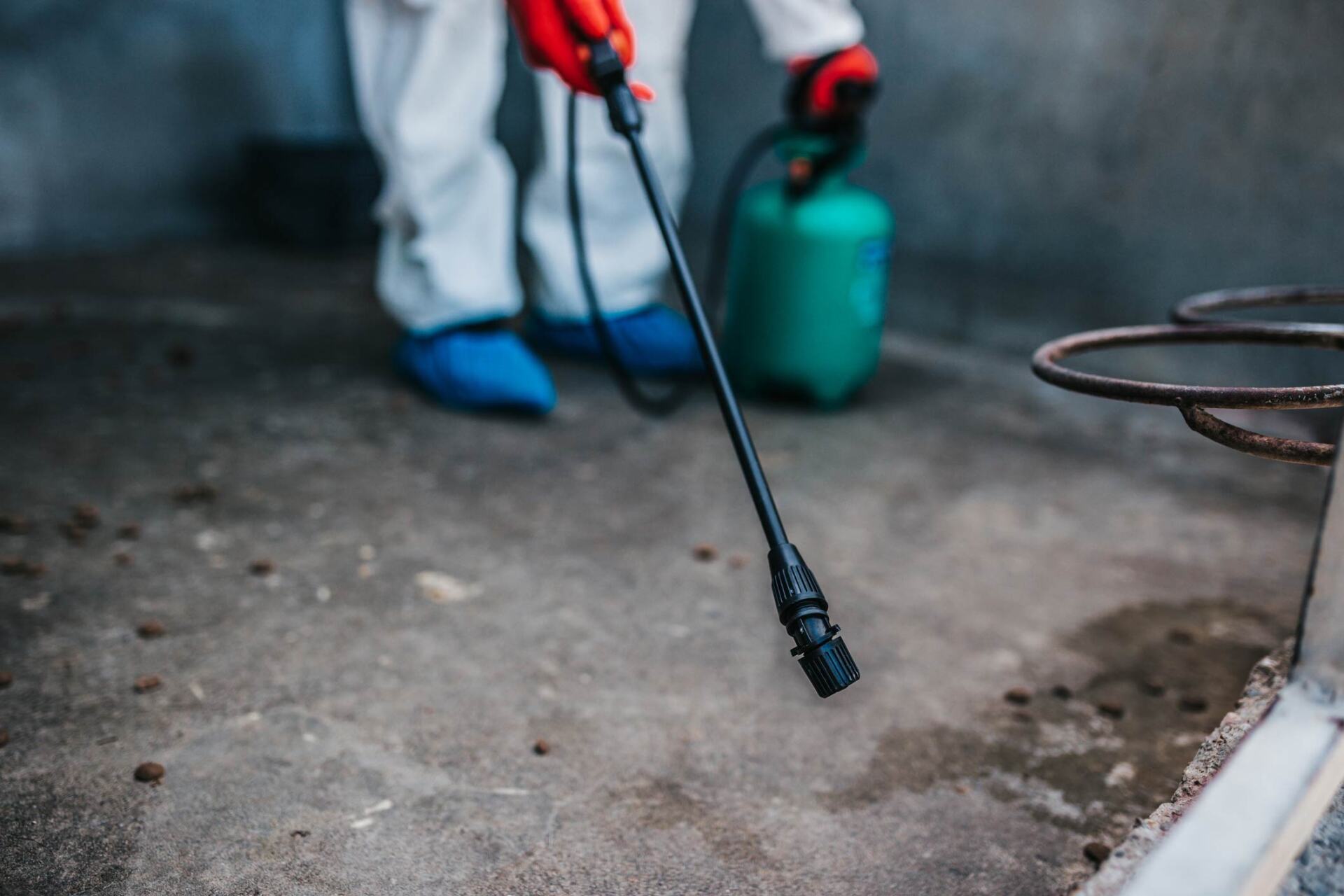 Disinfection And Rodent Control Job — Hammonton, NJ — Team Termite & Pest Control