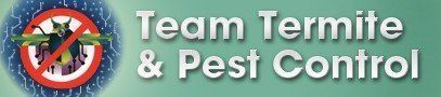 Team Termite & Pest Control