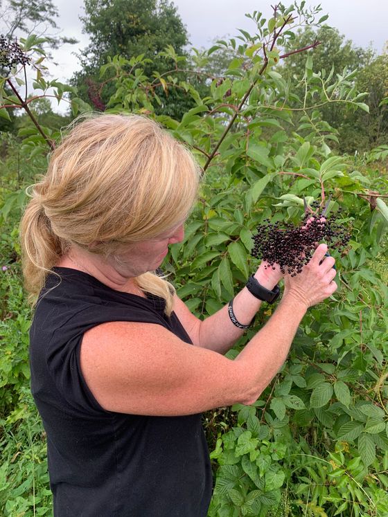 Elderberry Farm Covington, Ohio Poppaw's Homegrown
