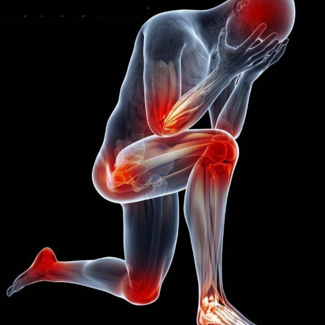 Stop Inflammation from Wreaking Havok in Your Body!