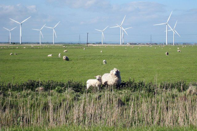 Poundfield Cottages - countryside walks in Camber