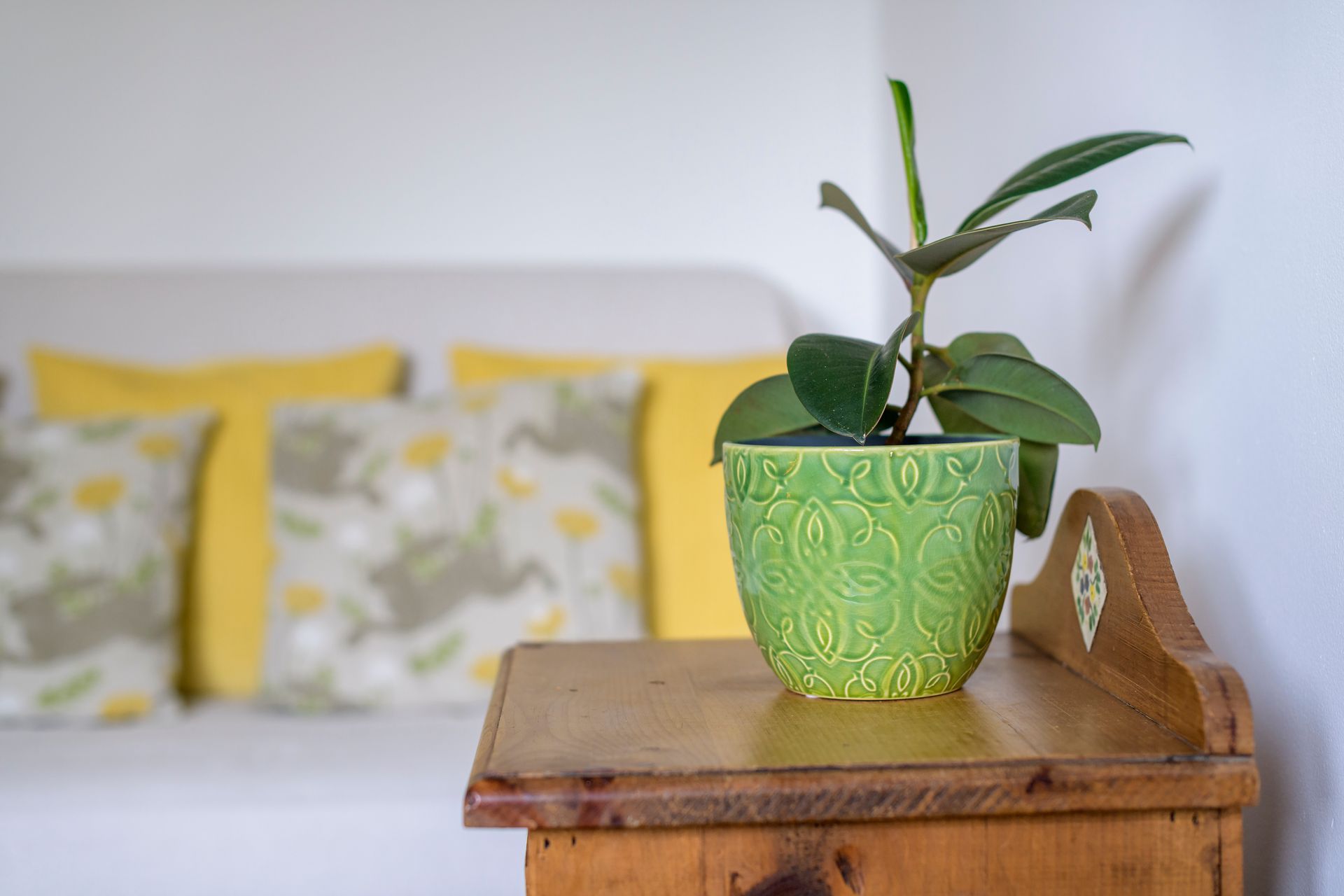 Bridle Cottage Plant Photo