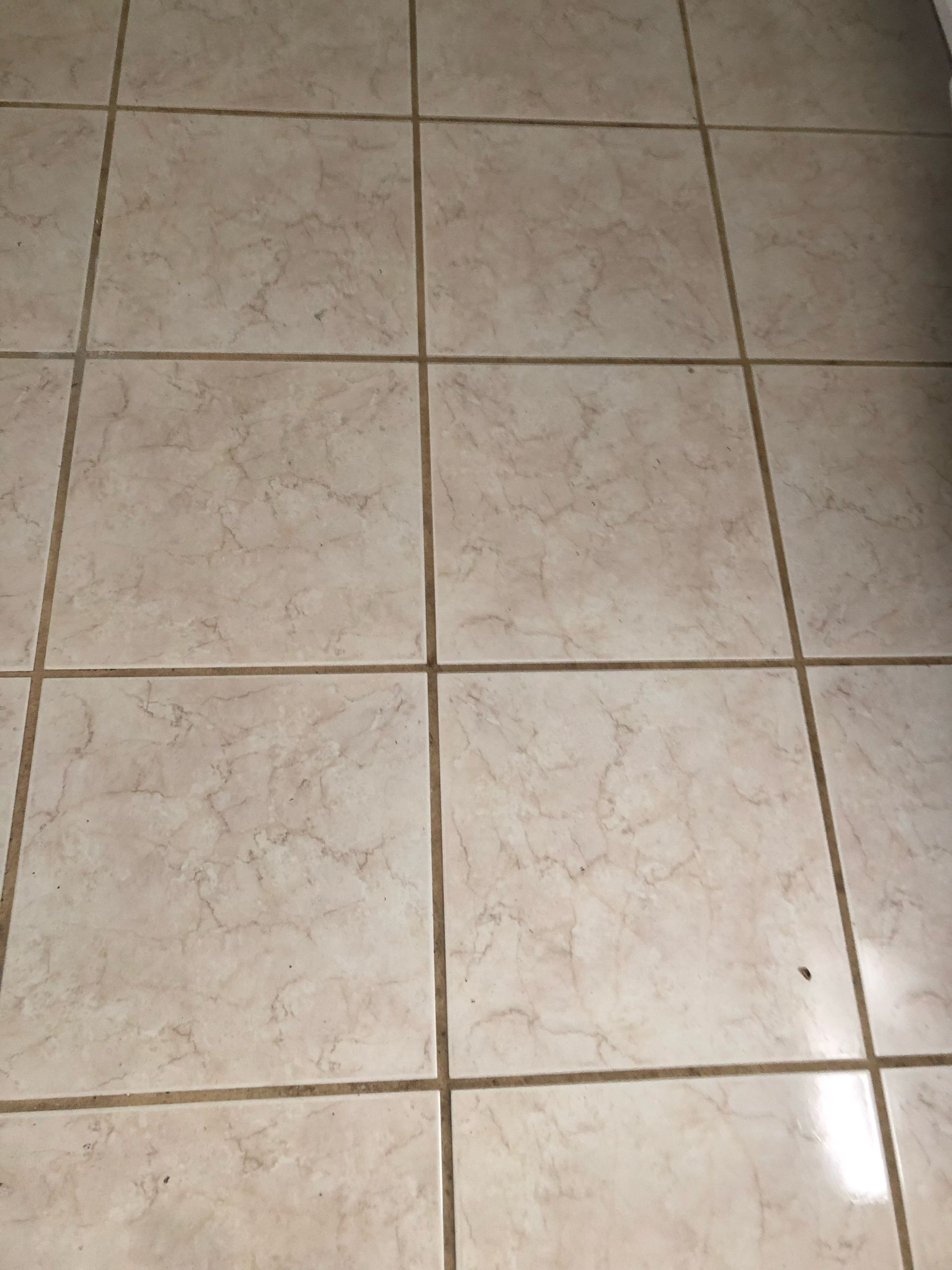 Tile And Grout Cleaning Services in Little Rock AR