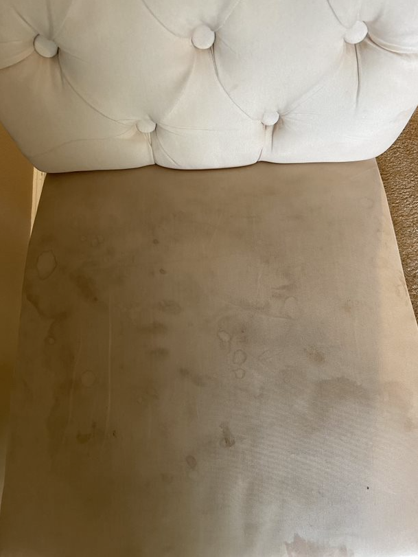 Professional Upholstery Cleaning in Little Rock AR